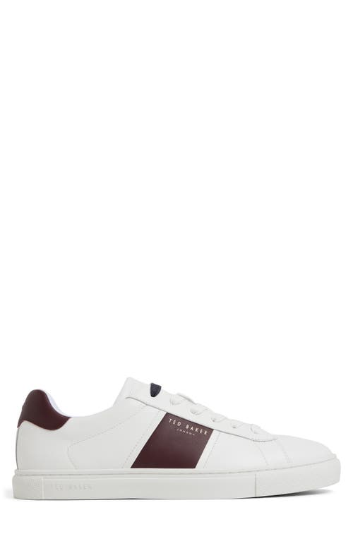 Ted Baker Bradley Sneaker In White