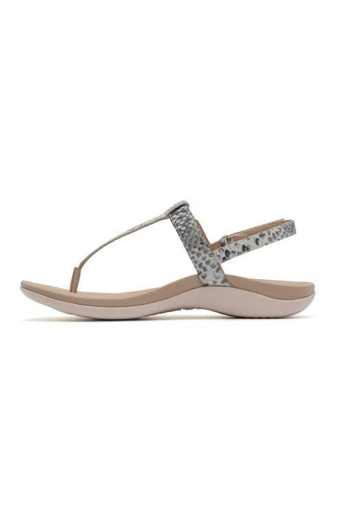 Abeo Oasis T Strap Sandal In Snake - Regular