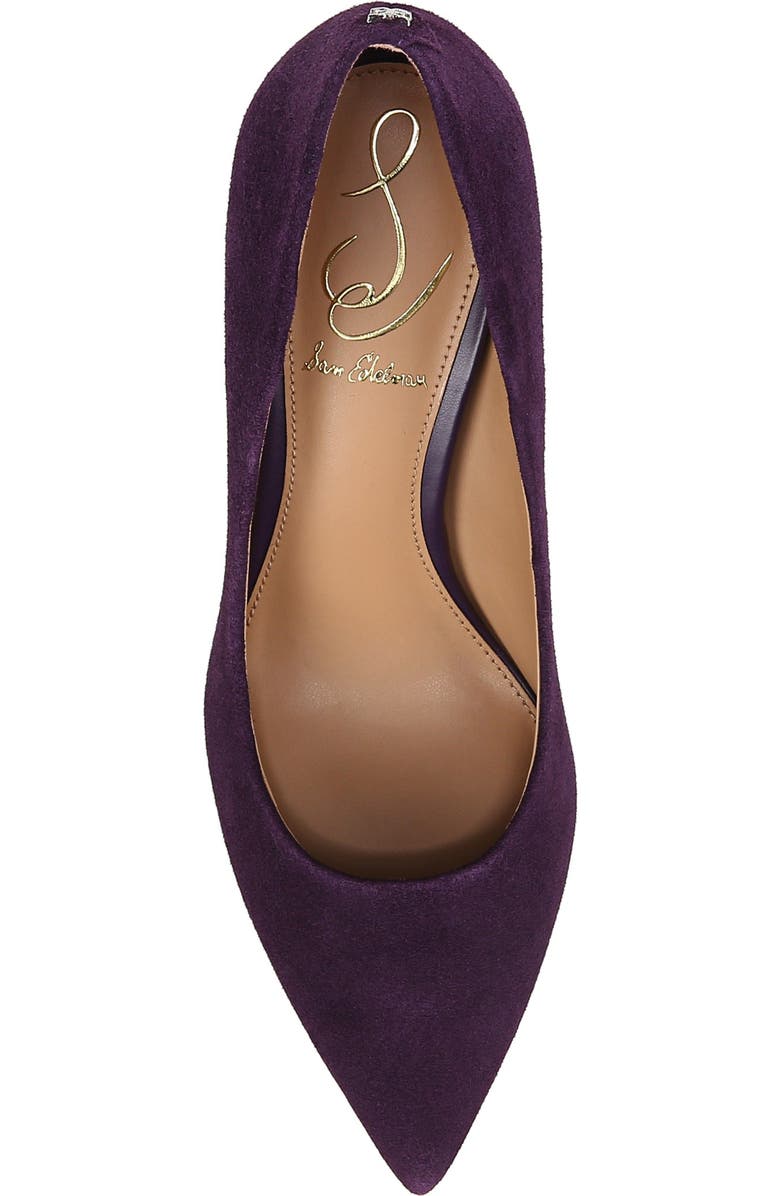 Sam Edelman Hazel Pointed Toe Pump, Alternate, color, Winter Violet