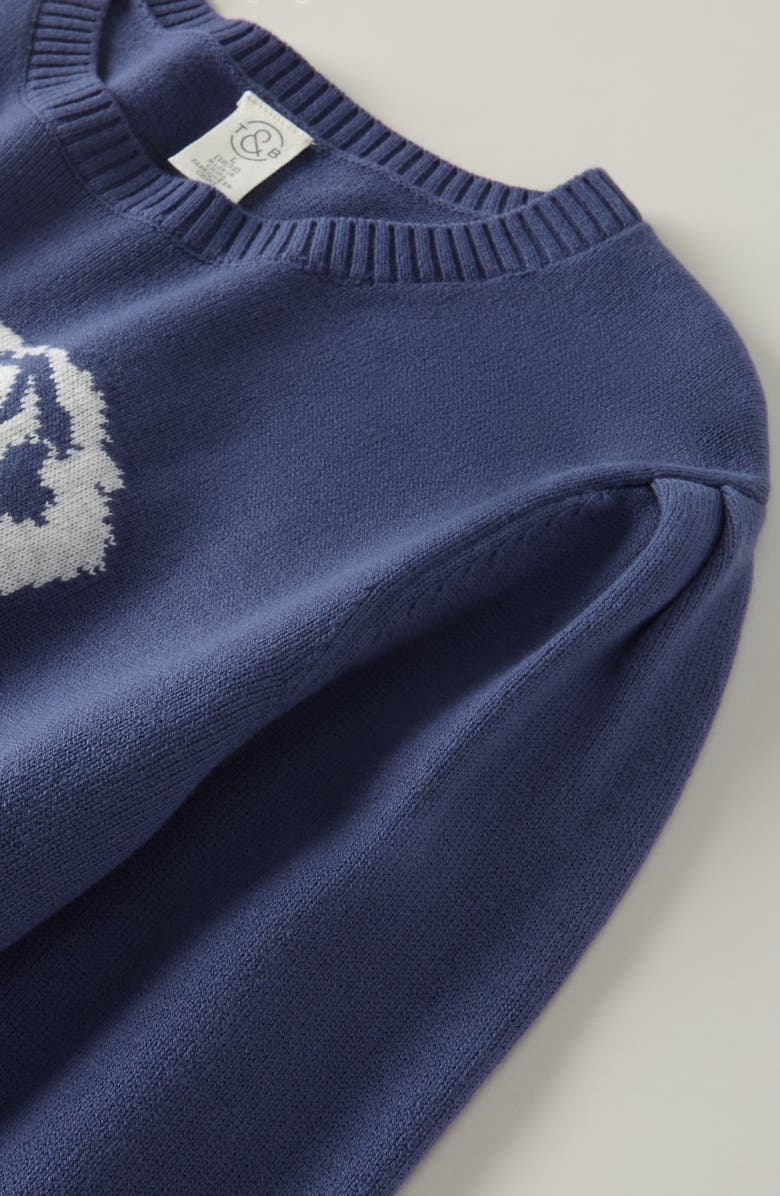 Treasure & Bond Kids' Puff Sleeve Intarsia Knit Sweater, Alternate, color,