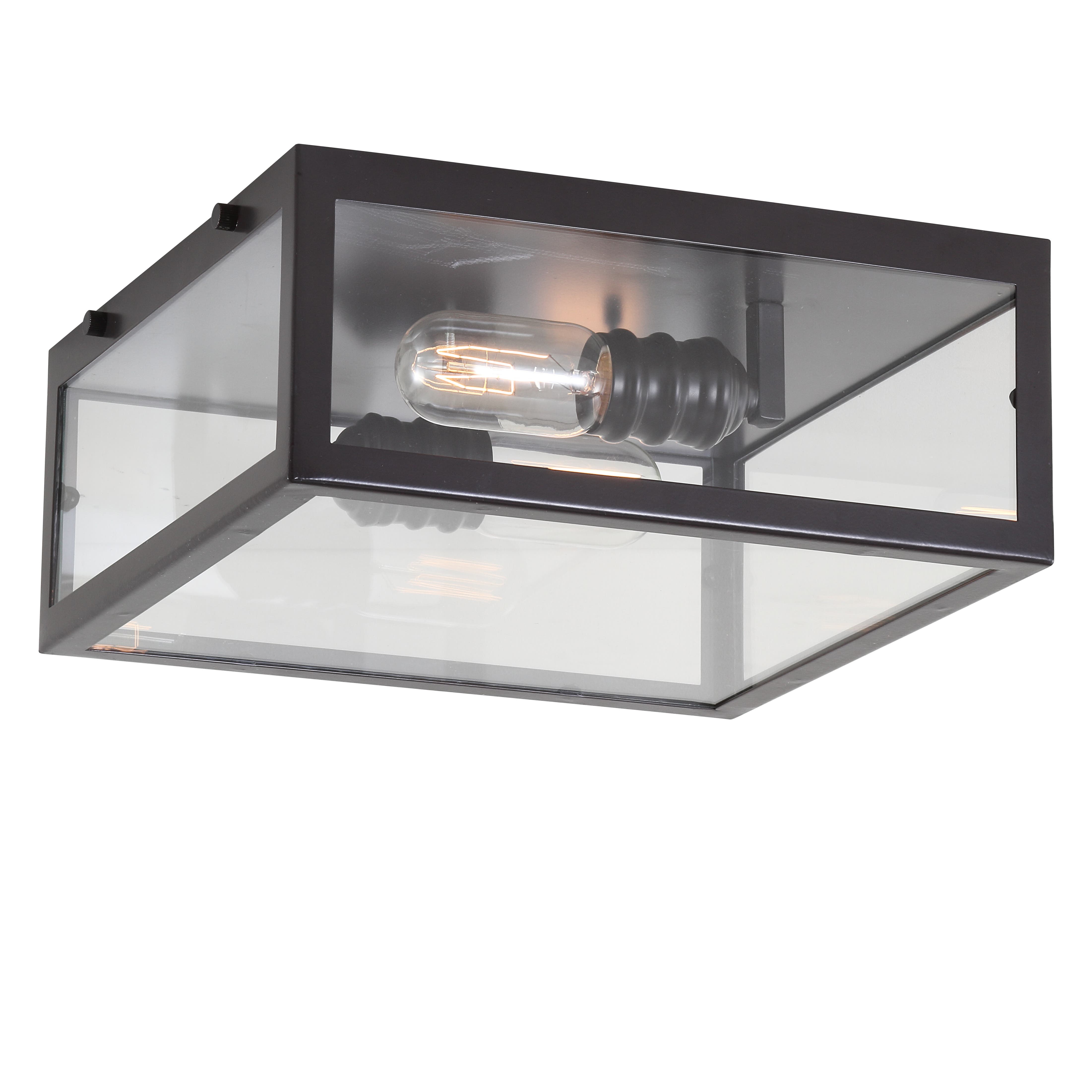 Oil Rubbed Bronze / Clear