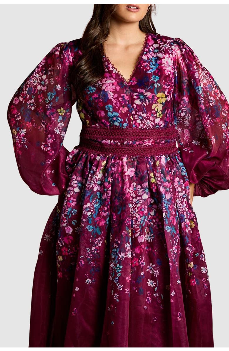 Coast Plus Floral Organza Midaxi Dress, Alternate, color, Plum