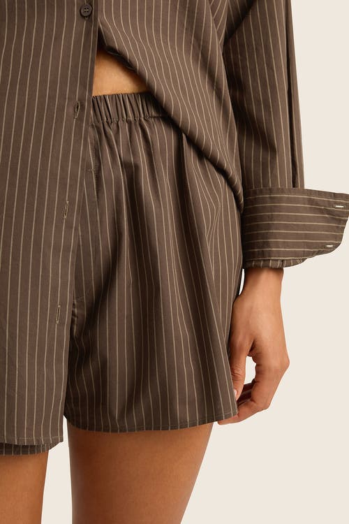 Hope And May Pacific Stripe Cotton Boxer Short In Chestnut Stripe