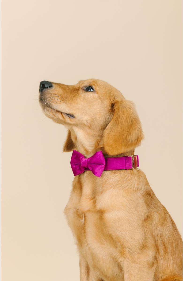 Pink Papyrus August Bow Tie, Alternate, color, August