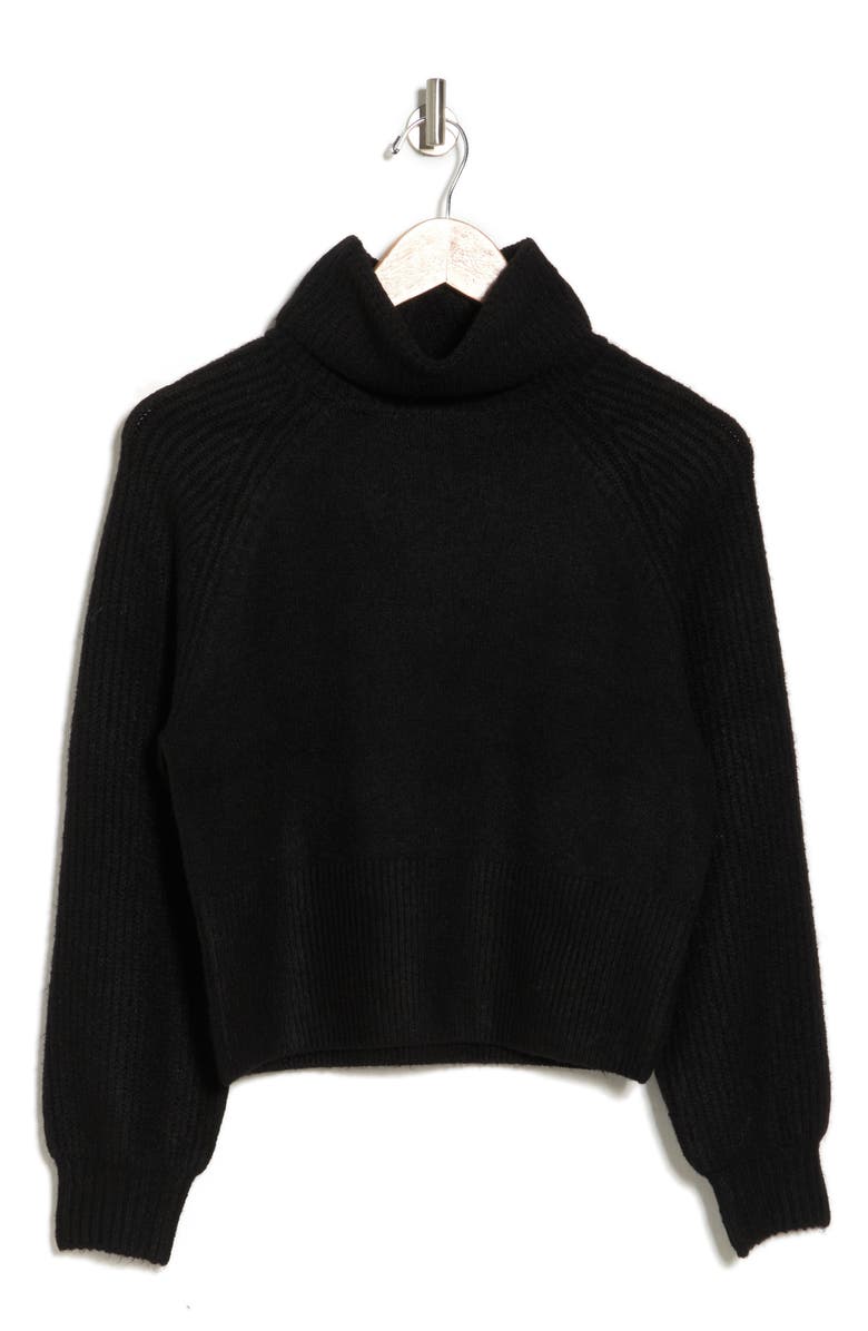 Elodie Turtleneck Sweater, Alternate, color,