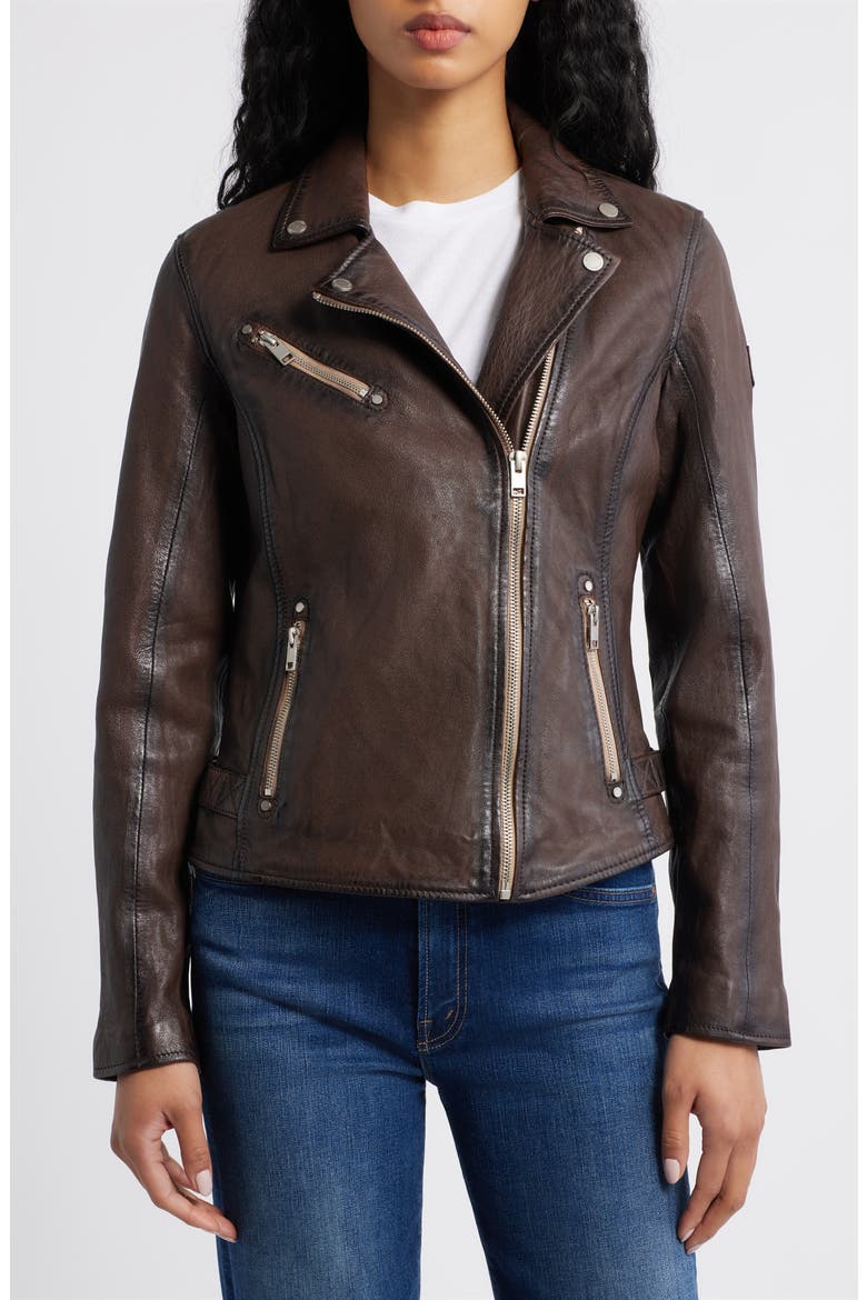 Sofia Lambskin Moto Jacket, Alternate, color, BROWN