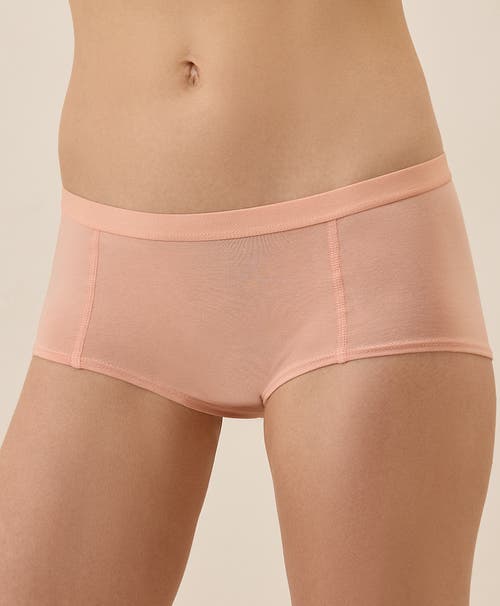 Pact Organic Cotton Everyday Boy Short 6-pack