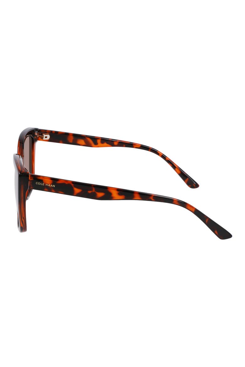 55mm Cat Eye Sunglasses, Alternate, color, TORTOISE