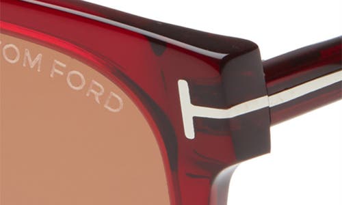 Tom Ford Ani 58mm Gradient Cat Eye Sunglasses In Multi