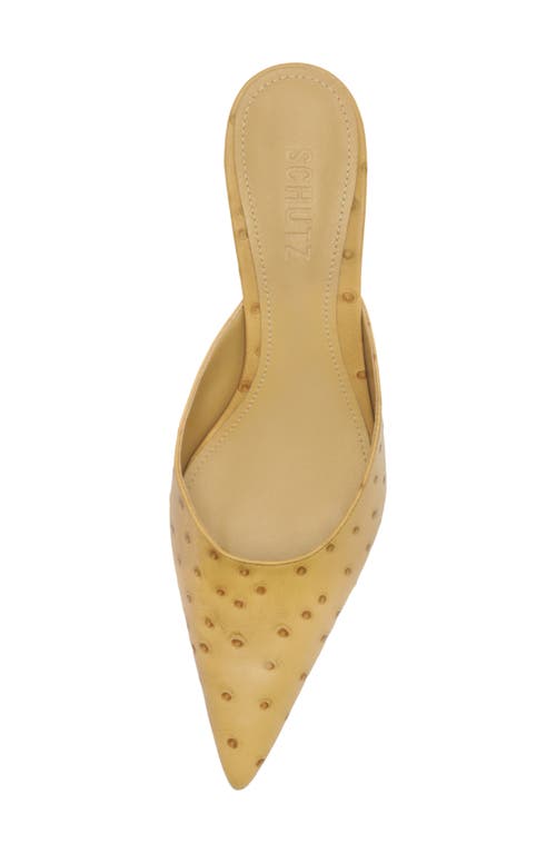 Schutz Julie Pointed Toe Mule In Neutral