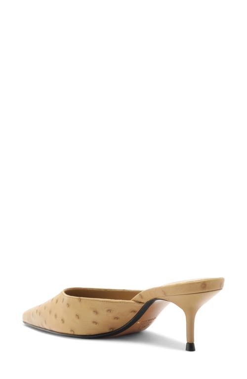 Schutz Julie Pointed Toe Mule In Neutral