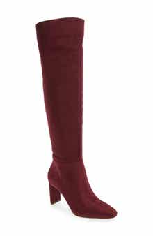 Simmona Pointed Toe Over the Knee Boot