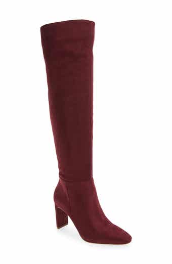 Simmona Pointed Toe Over the Knee Boot