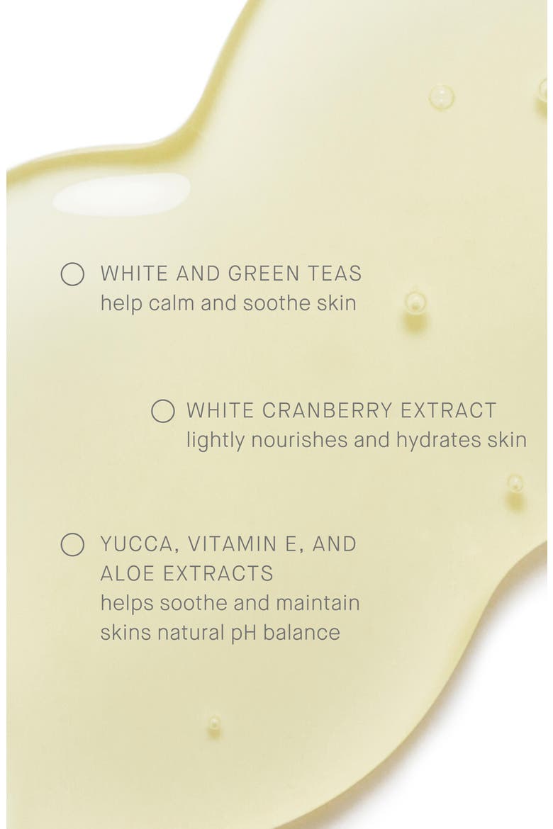 White Tea Purifying Cleanser Gel Facial Cleanser, Alternate, color, NO COLOR
