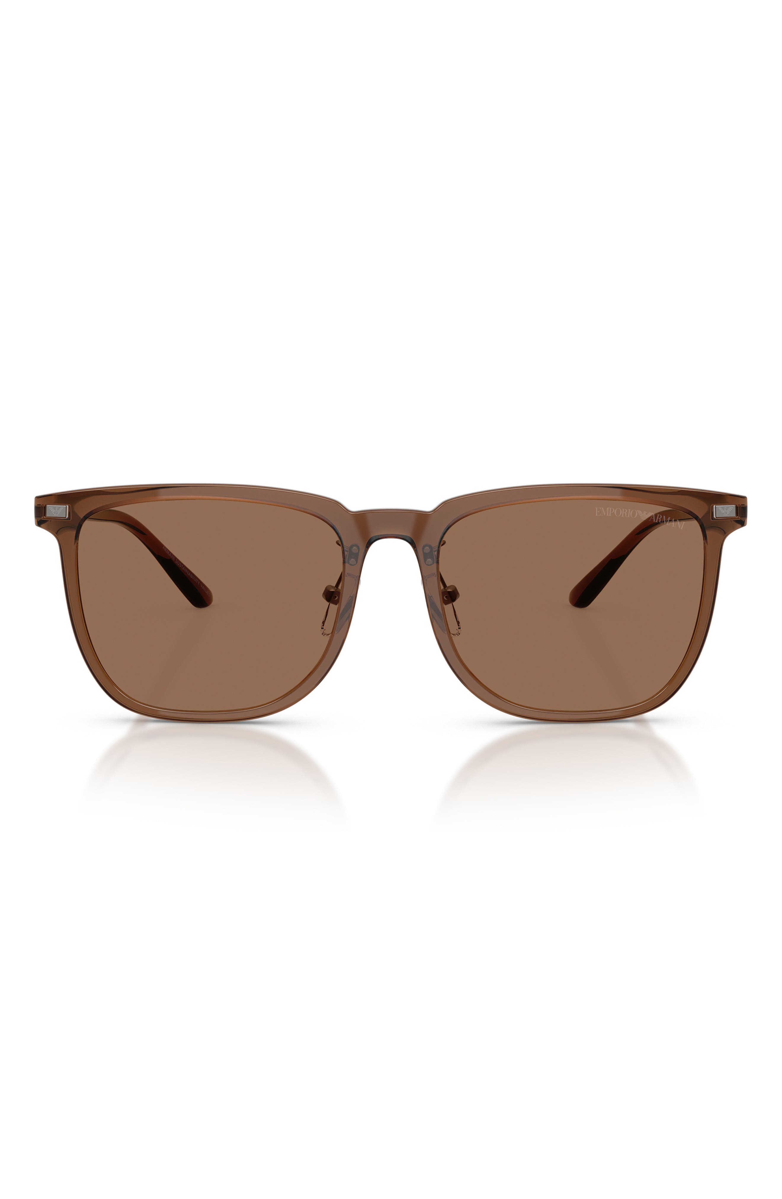 SHINY BROWN / DARK BROWN
