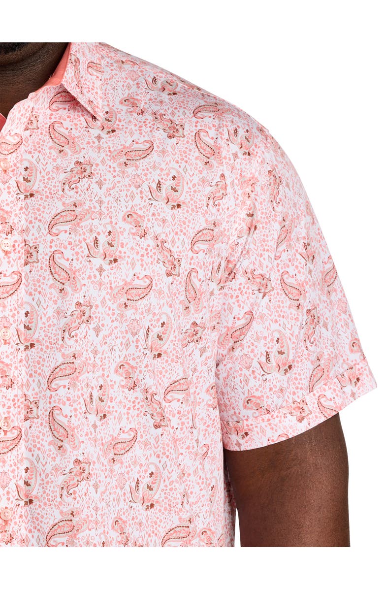 Synrgy by DXL Big & Tall Mixed Paisley Print Sport Shirt, Alternate, color, Pink