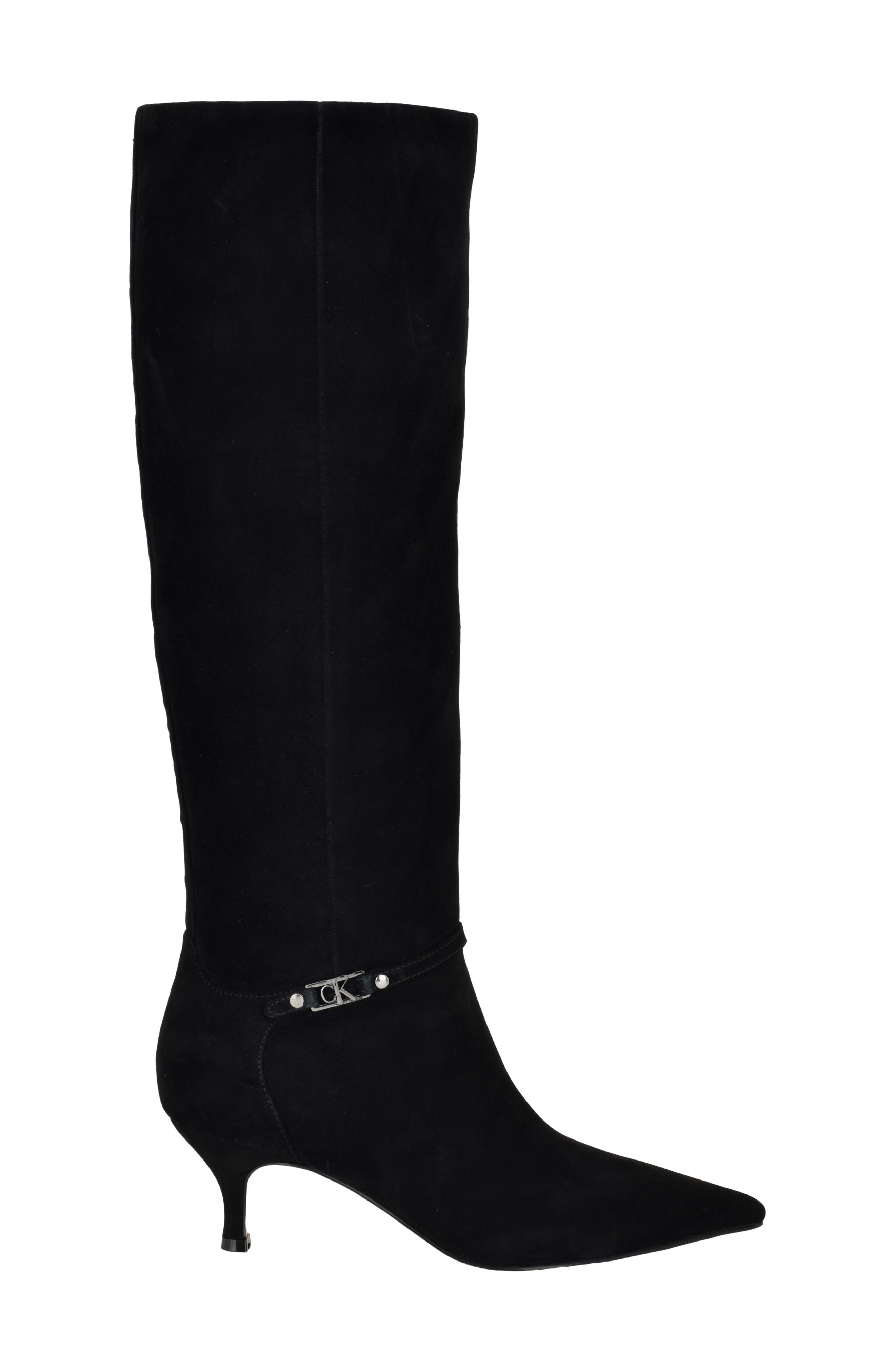 Serray Pointed Toe Knee High Boot, Alternate, color, BLACK