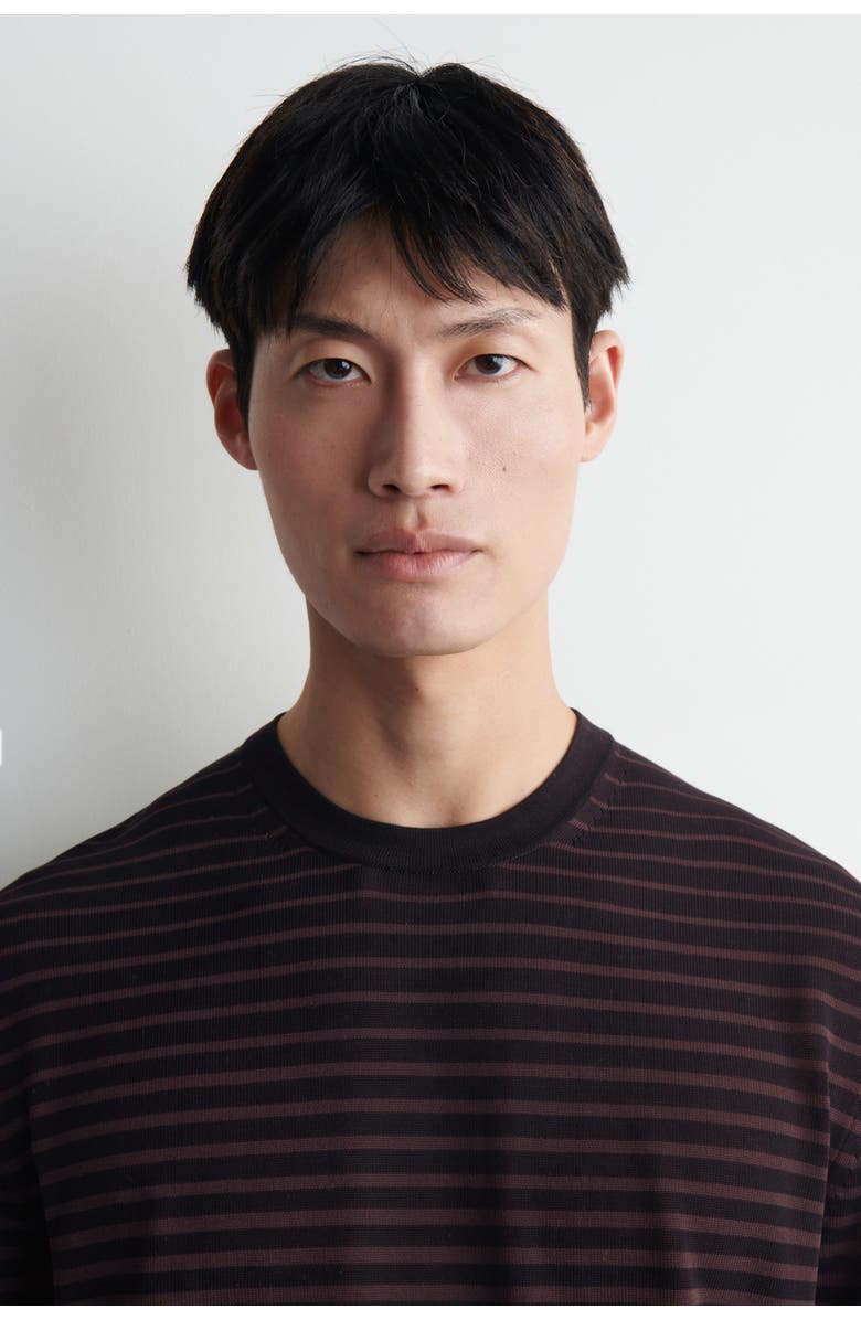 COS Striped Knitted Cotton T-shirt, Alternate, color, Brown / Black / Striped