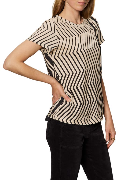 Sanctuary The Perfect T-shirt