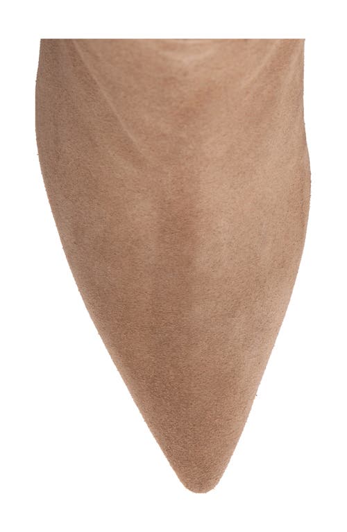 Beautiisoles Yara Pointed Toe Knee High Boot In Sand