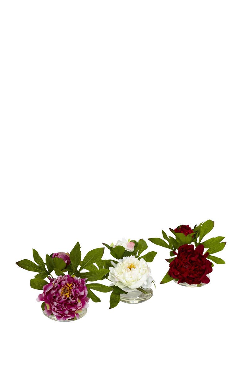 NEARLY NATURAL Peony Arrangement in Glass Vase - Set of 3, Main, color,