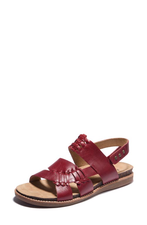 Halsa Footwear Hälsa Footwear Bella Slingback Sandal In Dark Red