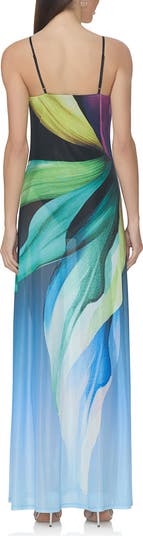 Shea Print A-Line Mesh Maxi Dress