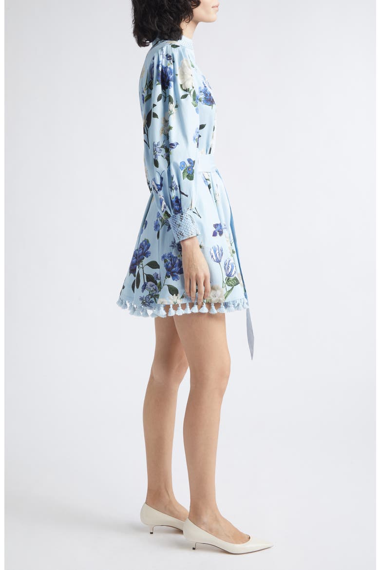 Lucy Floral Long Sleeve Minidress, Alternate, color, FLY AWAY