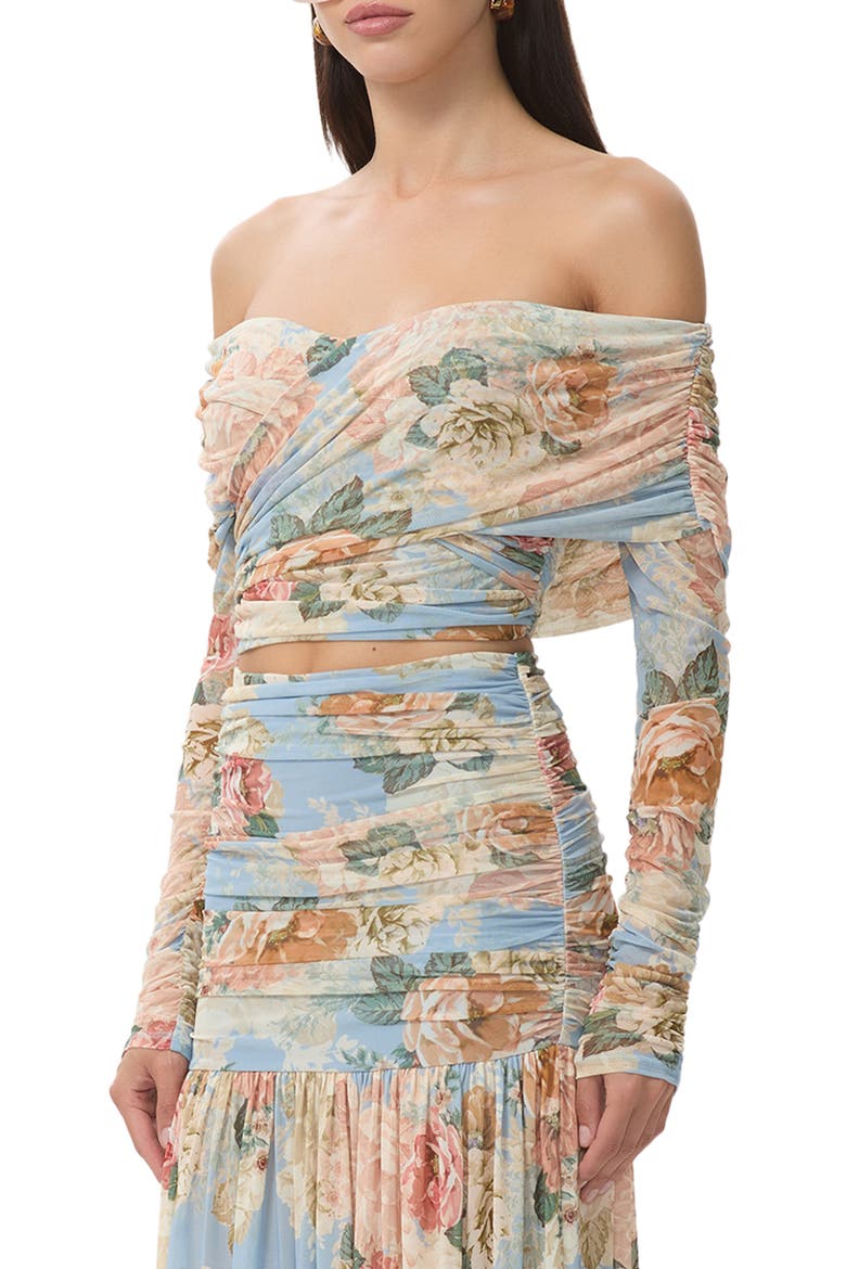 Dido Floral Off the Shoulder Crop Top, Alternate, color, SOFT SLATE BLOOM
