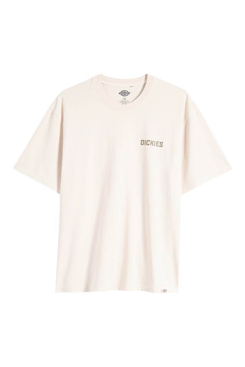 High Flying Cotton Graphic T-Shirt, Alternate, color, CLOUD