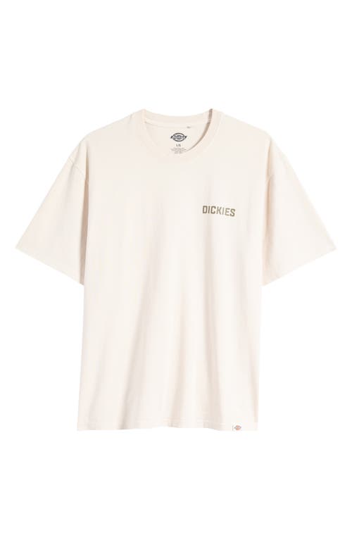Dickies High Flying Cotton Graphic T-shirt In Cloud