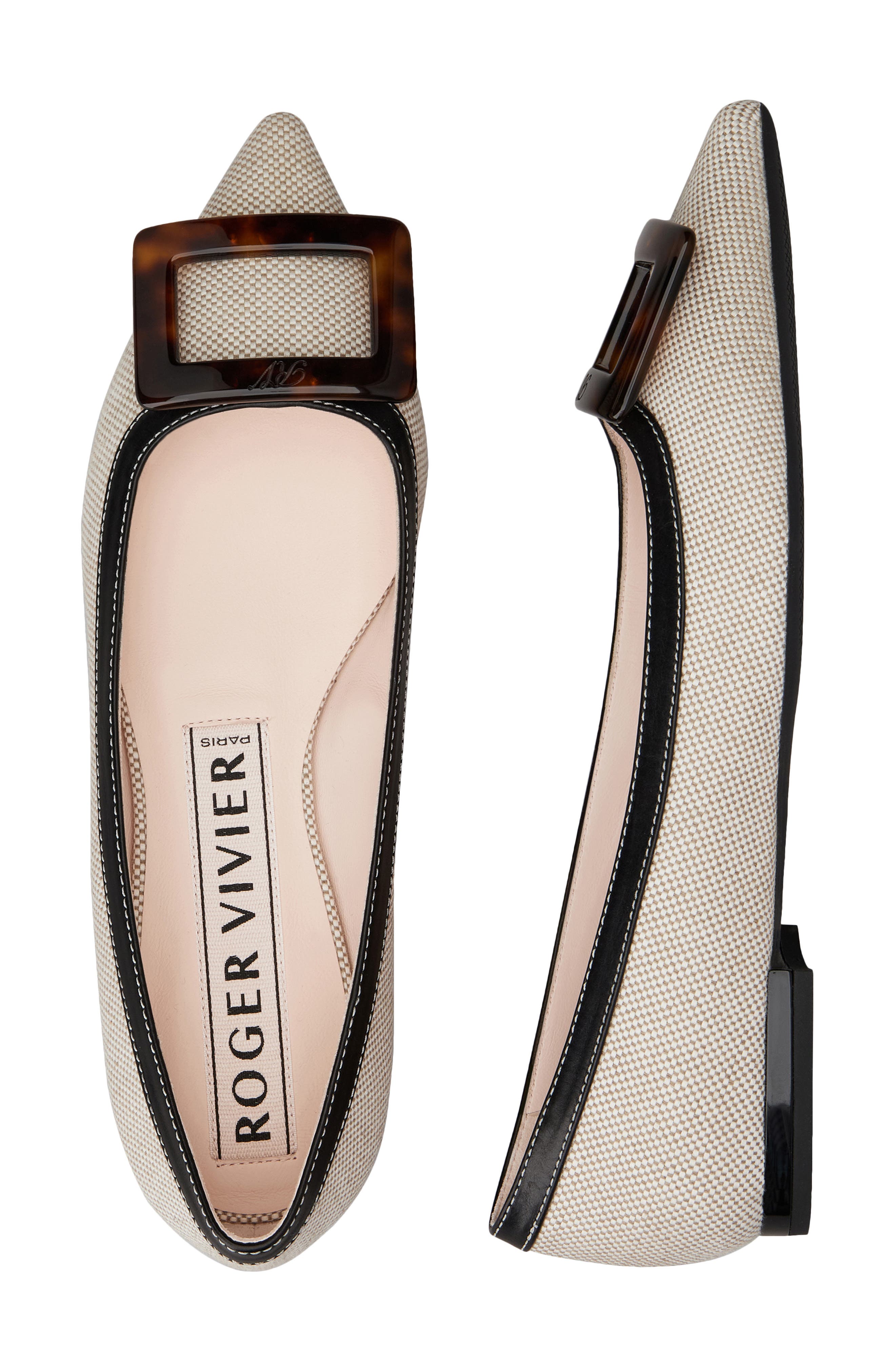 Roger Vivier Gommettine Pointed Toe Ballet Flat, Alternate, color, Daino/ Nero