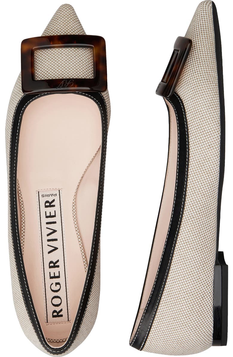 Roger Vivier Gommettine Pointed Toe Ballet Flat, Alternate, color, Daino/ Nero