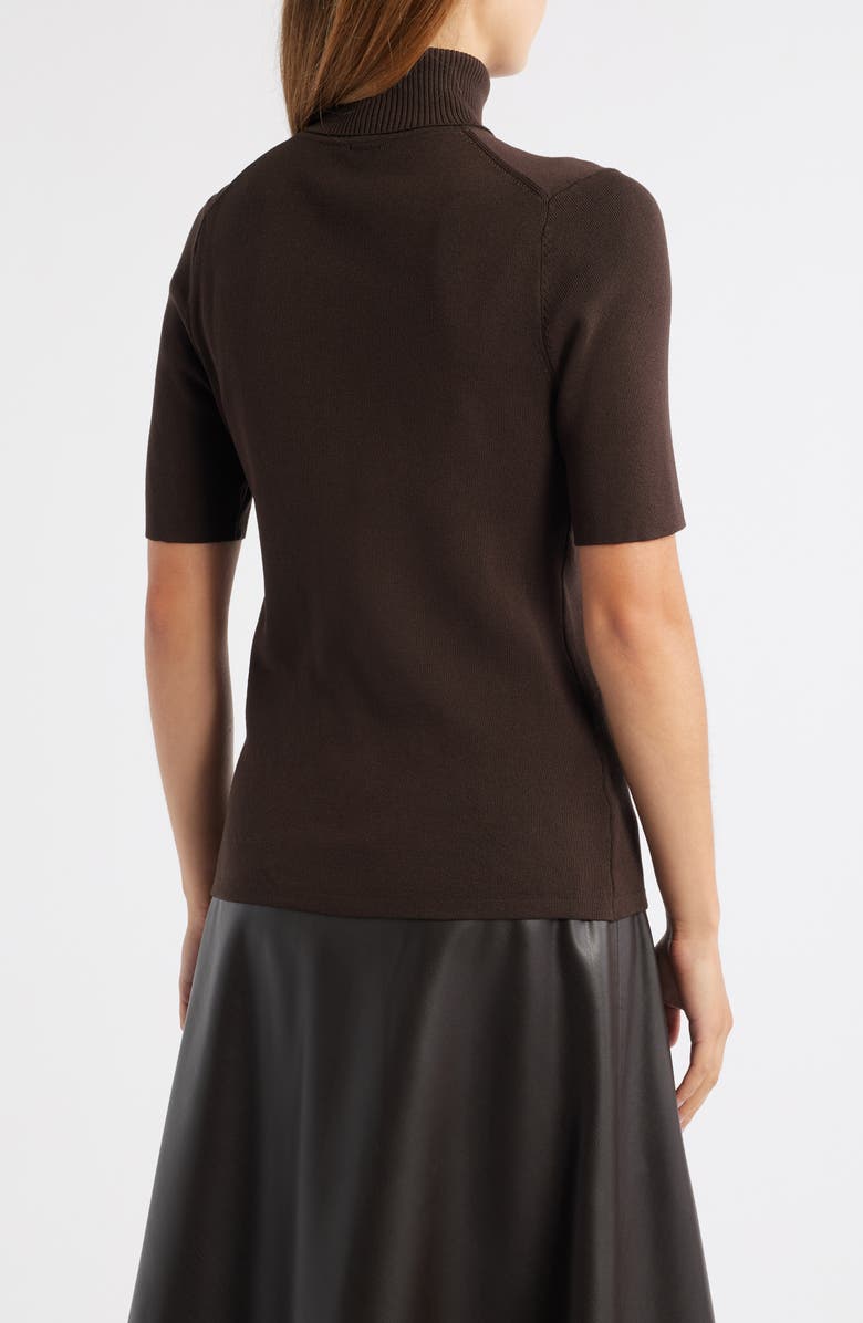 Anne Klein Short Sleeve Turtleneck Sweater, Alternate, color, 