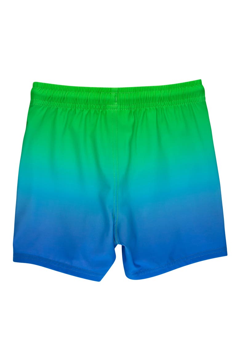 Kids' Ocean Ombré UPF 50+ Swim Trunks, Alternate, color, GREEN