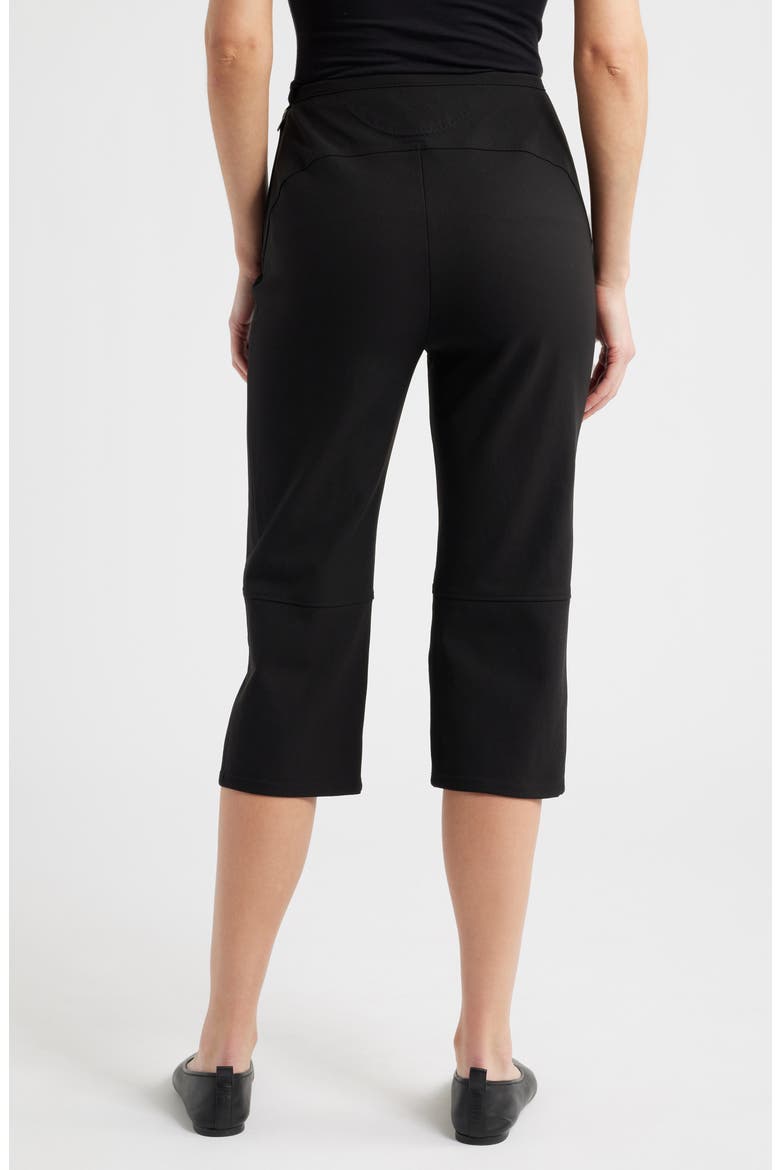 Slim Capri Pants, Alternate, color, BLACK