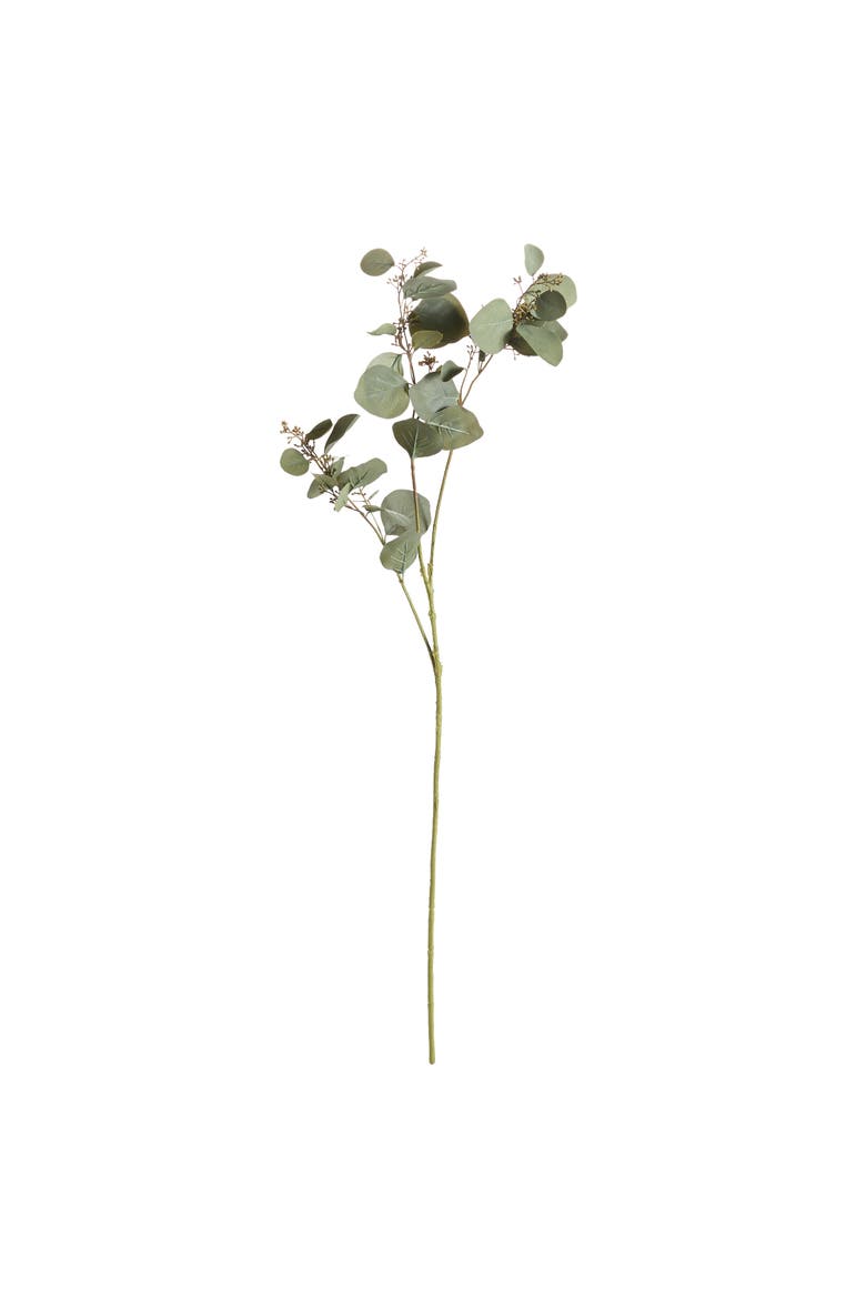 Silver Dollar Eucalyptus Branch 43", Main, color, Green