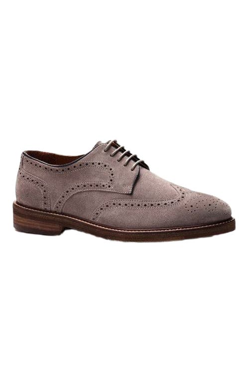 A. Veer Cambridge Wingtip Lace-up in Taupe Suede  product