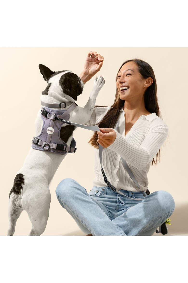 Arlo Adjustable Soft Padded No Pull Pet Harness with 3 Buckles and 3 Leash Clips, Alternate, color, Gray
