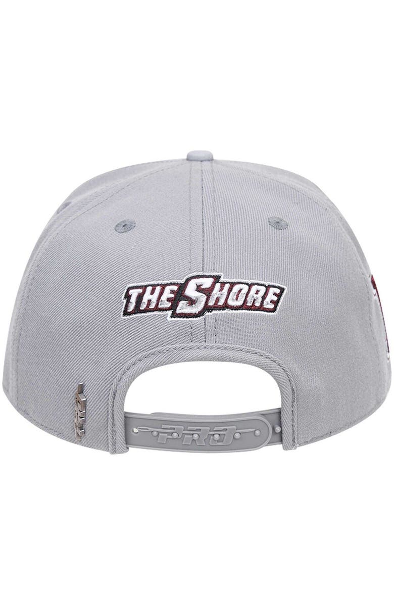 PRO STANDARD Men's Pro Standard  Gray Maryland Eastern Shore Hawks Evergreen Mascot Snapback Hat, Alternate, color, Gray