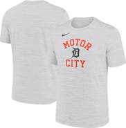 Nike Men's Nike Ash Detroit Tigers Velocity Team Phrase Dri-FIT T-Shirt