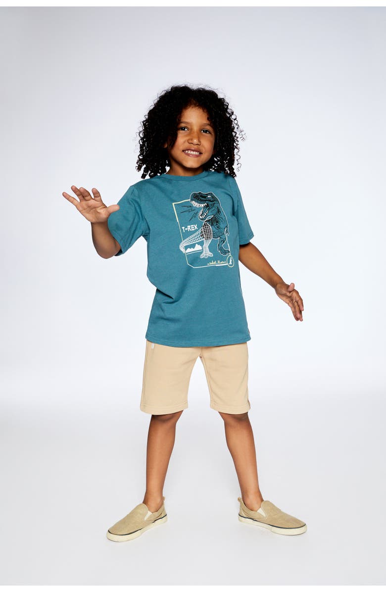 Deux par Deux Little Boy's T-Shirt Pine Green Dinosaur Print, Alternate, color, 