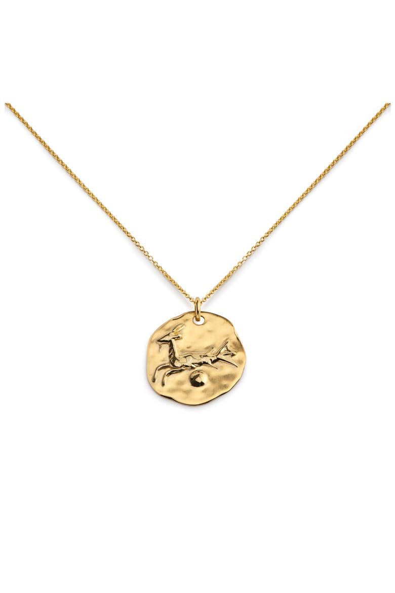 Zodiac Charm Pendant Necklace, Main, color, 18K GOLD VERMEIL