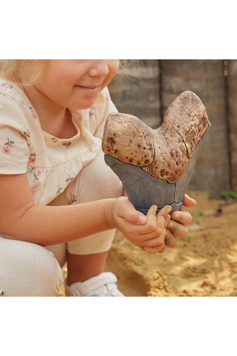 Magnetic Fossil 3D Puzzle - Megalodon Tooth - 6 Pieces, Alternate, color, Brown