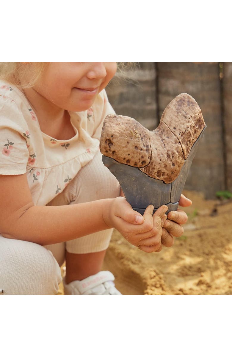 Kaplan Early Learning Company Magnetic Fossil 3D Puzzle - Megalodon Tooth - 6 Pieces, Alternate, color, Brown