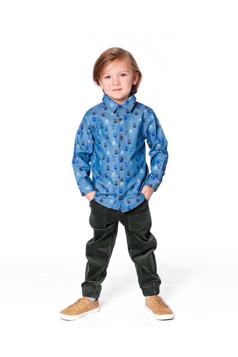 Long Sleeve Button Front Chambray Shirt, Alternate, color, Blue