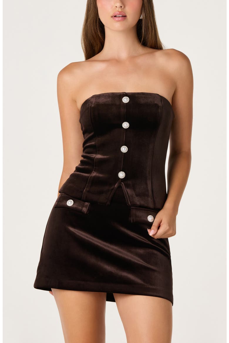 Raphaelle Velvet Miniskirt, Alternate, color, DARK BROWN