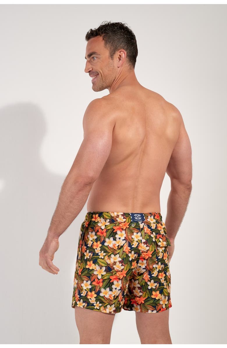 HOM Etna Beach Boxer, Alternate, color, Navy Print