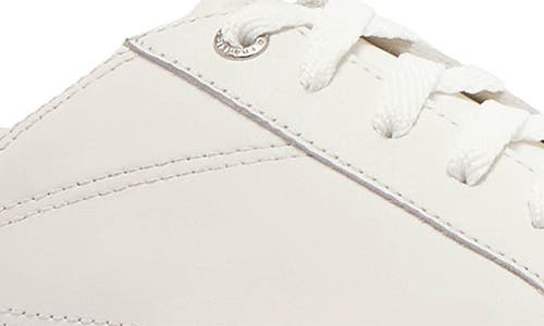 Frankie4 Asher Sneaker