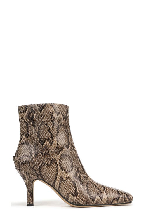 Circus Ny By Sam Edelman Laura Snakeskin Embossed Snip Toe Bootie In Multi